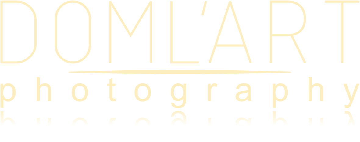 doml'art logo